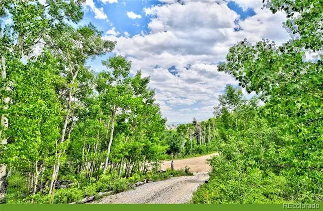 605 Lamb Mountain Road Fairplay, CO 80440