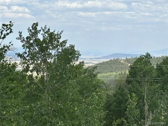 605 Lamb Mountain Road Fairplay, CO 80440
