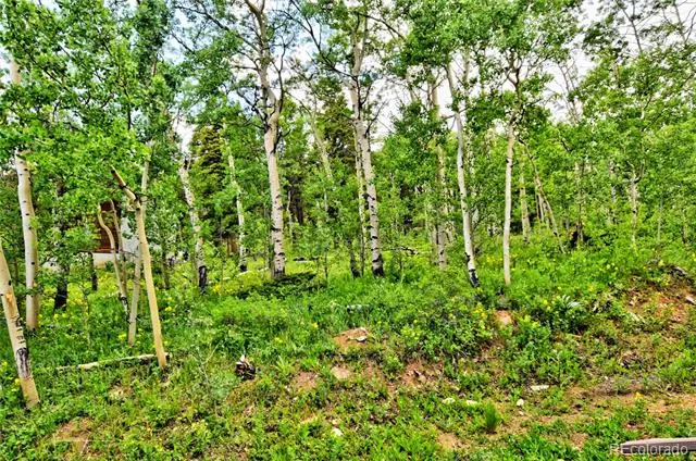 605 Lamb Mountain Road Fairplay, CO 80440