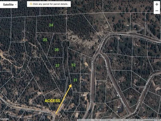 32561 Lodgepole Drive Evergreen, CO 80439