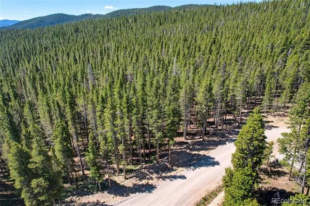 Lot 172 Lower Forest Road Idaho Springs, CO 80452