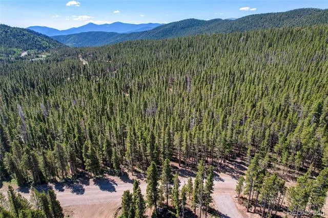 Lot 172 Lower Forest Road Idaho Springs, CO 80452