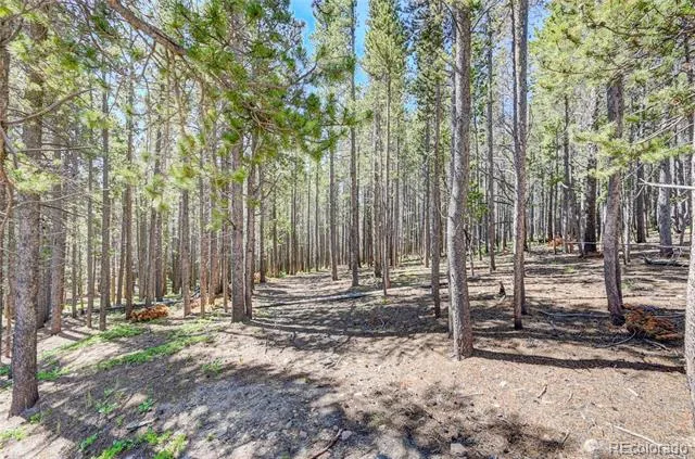 Lot 172 Lower Forest Road Idaho Springs, CO 80452
