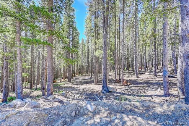 Lot 172 Lower Forest Road Idaho Springs, CO 80452