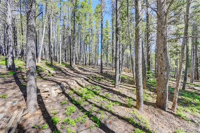 Lot 172 Lower Forest Road Idaho Springs, CO 80452