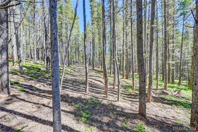 Lot 172 Lower Forest Road Idaho Springs, CO 80452