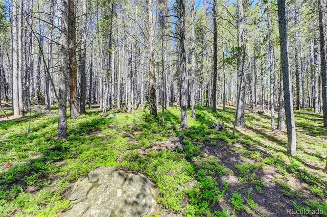 Lot 172 Lower Forest Road Idaho Springs, CO 80452