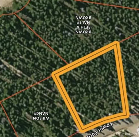 Lot 172 Lower Forest Road Idaho Springs, CO 80452