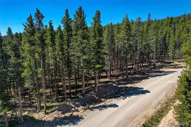 Lot 172 Lower Forest Road Idaho Springs, CO 80452
