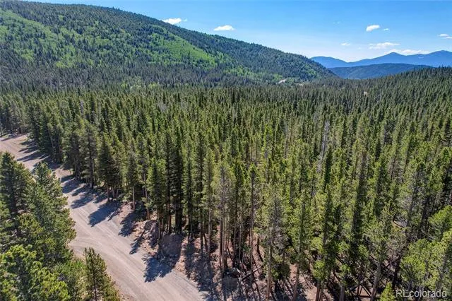 Lot 172 Lower Forest Road Idaho Springs, CO 80452