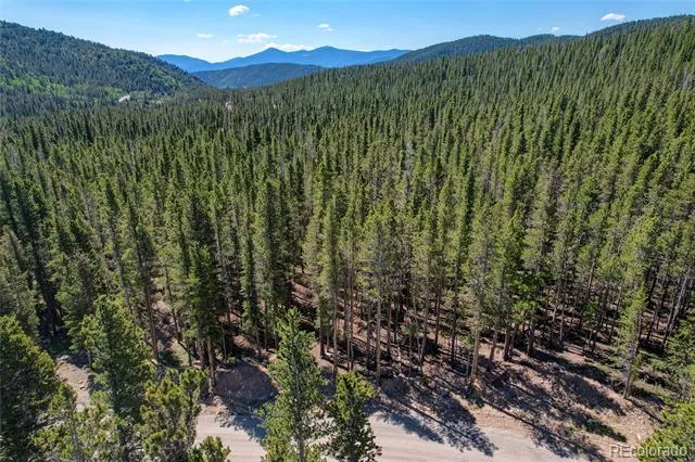 Lot 172 Lower Forest Road Idaho Springs, CO 80452
