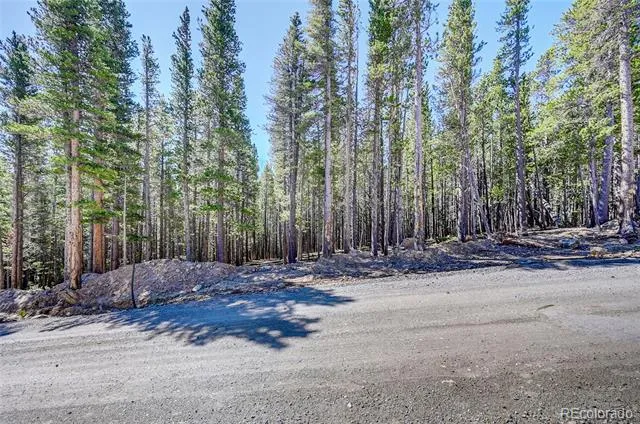 Lot 172 Lower Forest Road Idaho Springs, CO 80452