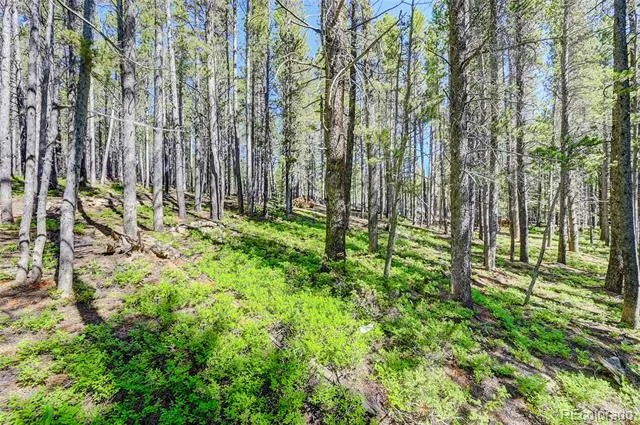 Lot 172 Lower Forest Road Idaho Springs, CO 80452
