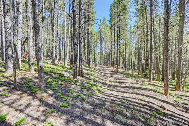 Lot 172 Lower Forest Road Idaho Springs, CO 80452
