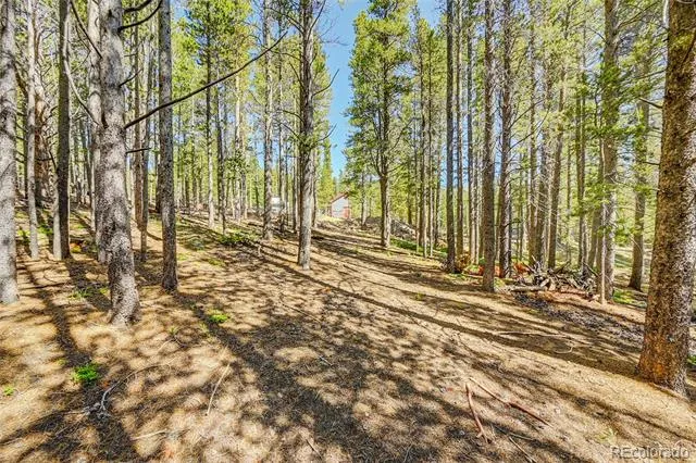 Lot 172 Lower Forest Road Idaho Springs, CO 80452