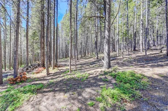 Lot 172 Lower Forest Road Idaho Springs, CO 80452