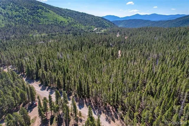 Lot 172 Lower Forest Road Idaho Springs, CO 80452
