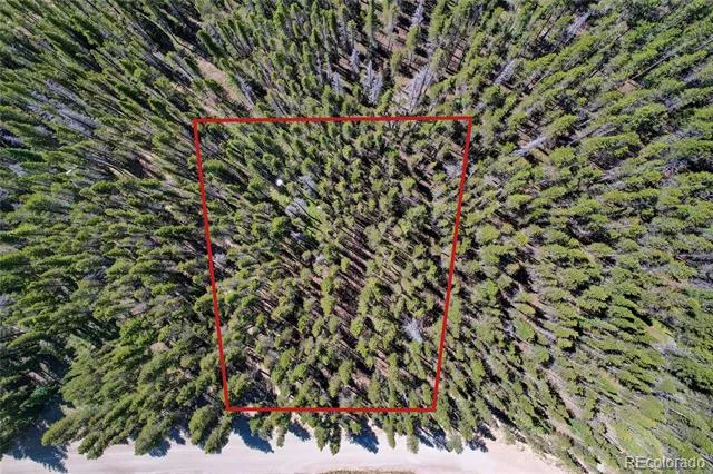 Lot 172 Lower Forest Road Idaho Springs, CO 80452