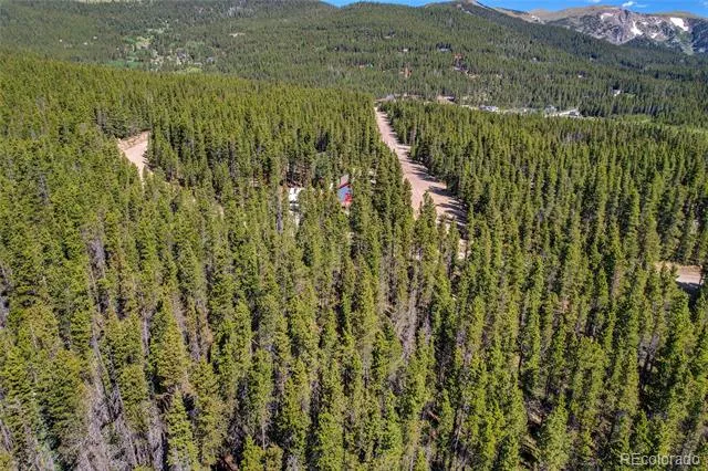 Lot 172 Lower Forest Road Idaho Springs, CO 80452