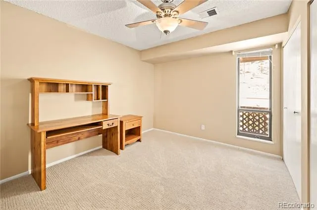1890 Argentine Street #303 Georgetown, CO 80444