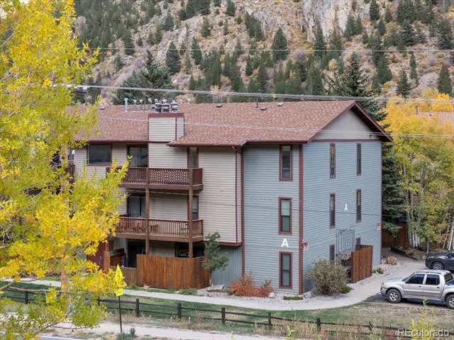 1890 Argentine Street #303 Georgetown, CO 80444