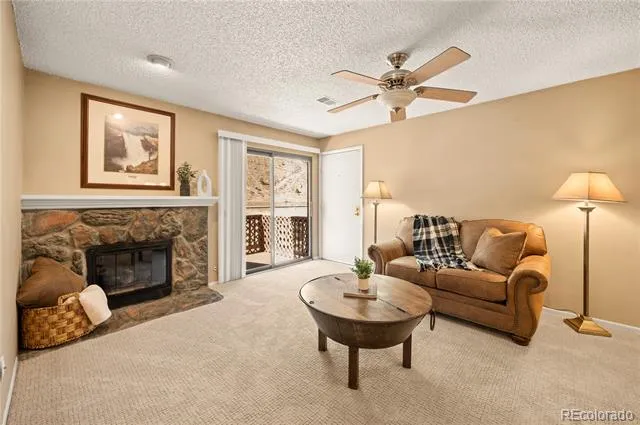 1890 Argentine Street #303 Georgetown, CO 80444