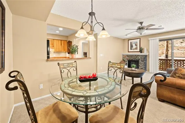 1890 Argentine Street #303 Georgetown, CO 80444