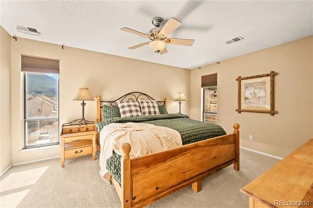 1890 Argentine Street #303 Georgetown, CO 80444