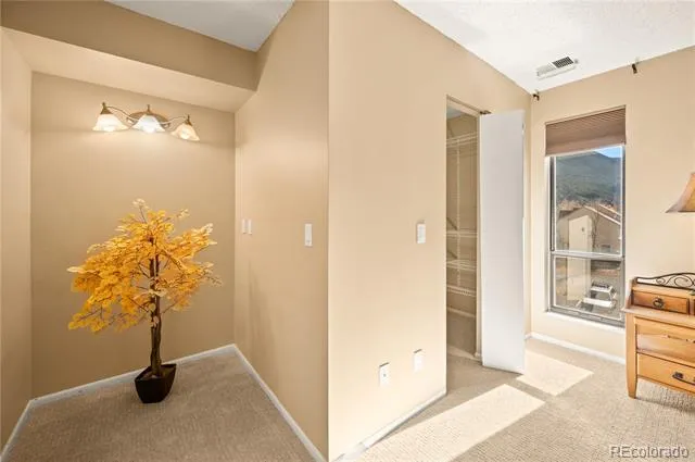 1890 Argentine Street #303 Georgetown, CO 80444