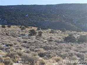 Lot 34 Cavalry Trail San Luis, CO 81152