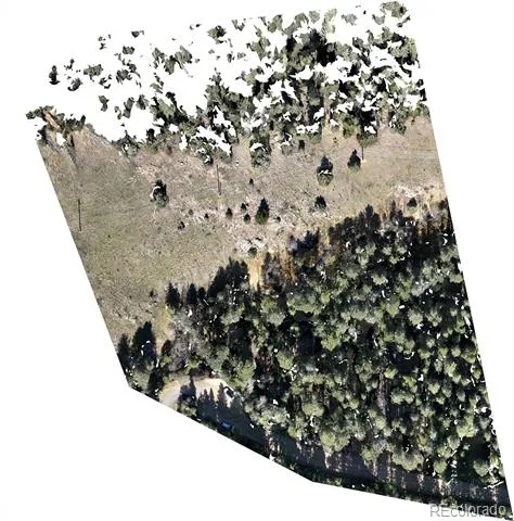 76 Ponderosa Place Evergreen, CO 80439