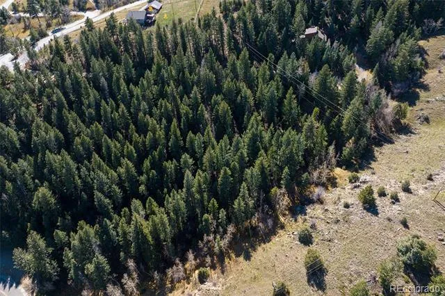 76 Ponderosa Place Evergreen, CO 80439