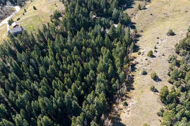 76 Ponderosa Place Evergreen, CO 80439