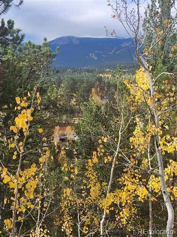 72 Hall Road Bailey, CO 80421