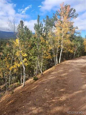 72 Hall Road Bailey, CO 80421