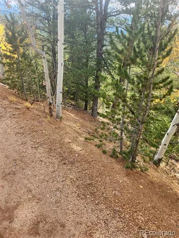 72 Hall Road Bailey, CO 80421