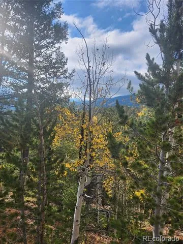 72 Hall Road Bailey, CO 80421