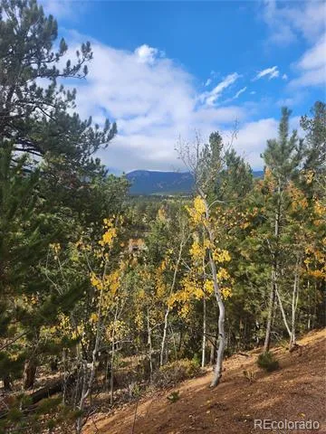 72 Hall Road Bailey, CO 80421
