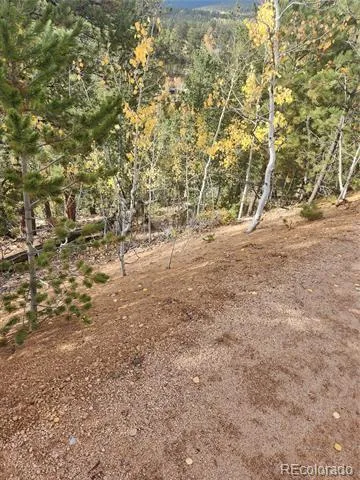 72 Hall Road Bailey, CO 80421
