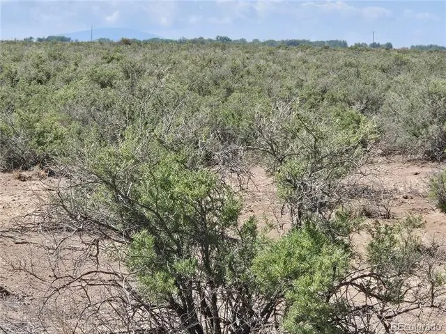 40 Acres TBD Mosca, CO 81146