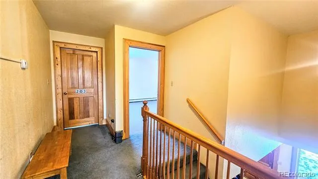 46 Camino Baca Grande Crestone, CO 81131
