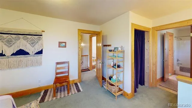 46 Camino Baca Grande Crestone, CO 81131