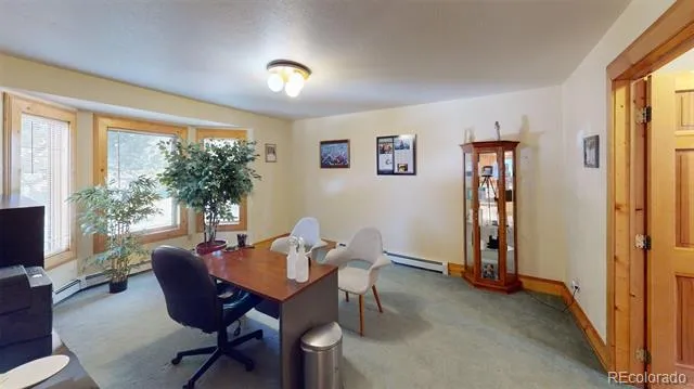 46 Camino Baca Grande Crestone, CO 81131