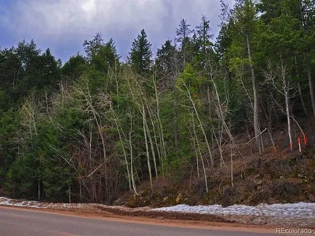 10136 Crest View Drive Morrison, CO 80465