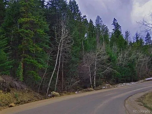 10136 Crest View Drive Morrison, CO 80465