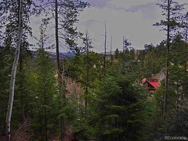 10136 Crest View Drive Morrison, CO 80465