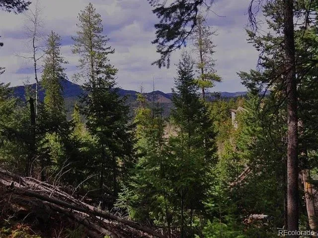 10136 Crest View Drive Morrison, CO 80465