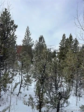 114, 122 Mustang Trail Grand Lake, CO 80447