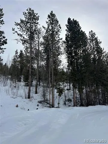114, 122 Mustang Trail Grand Lake, CO 80447