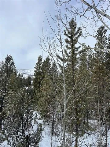 114, 122 Mustang Trail Grand Lake, CO 80447